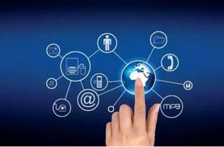 后起之秀，技术赋能 巴宝驰集团如何以网络技术开发称霸福建食品圈